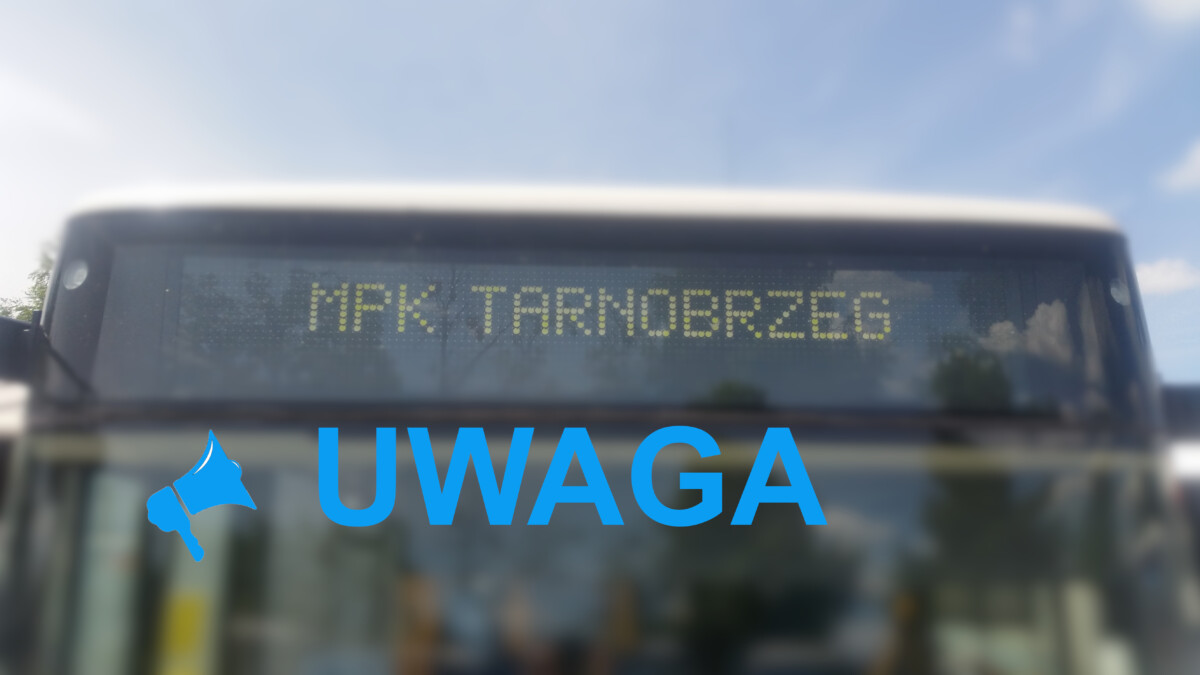 Bez kursów szkolnych